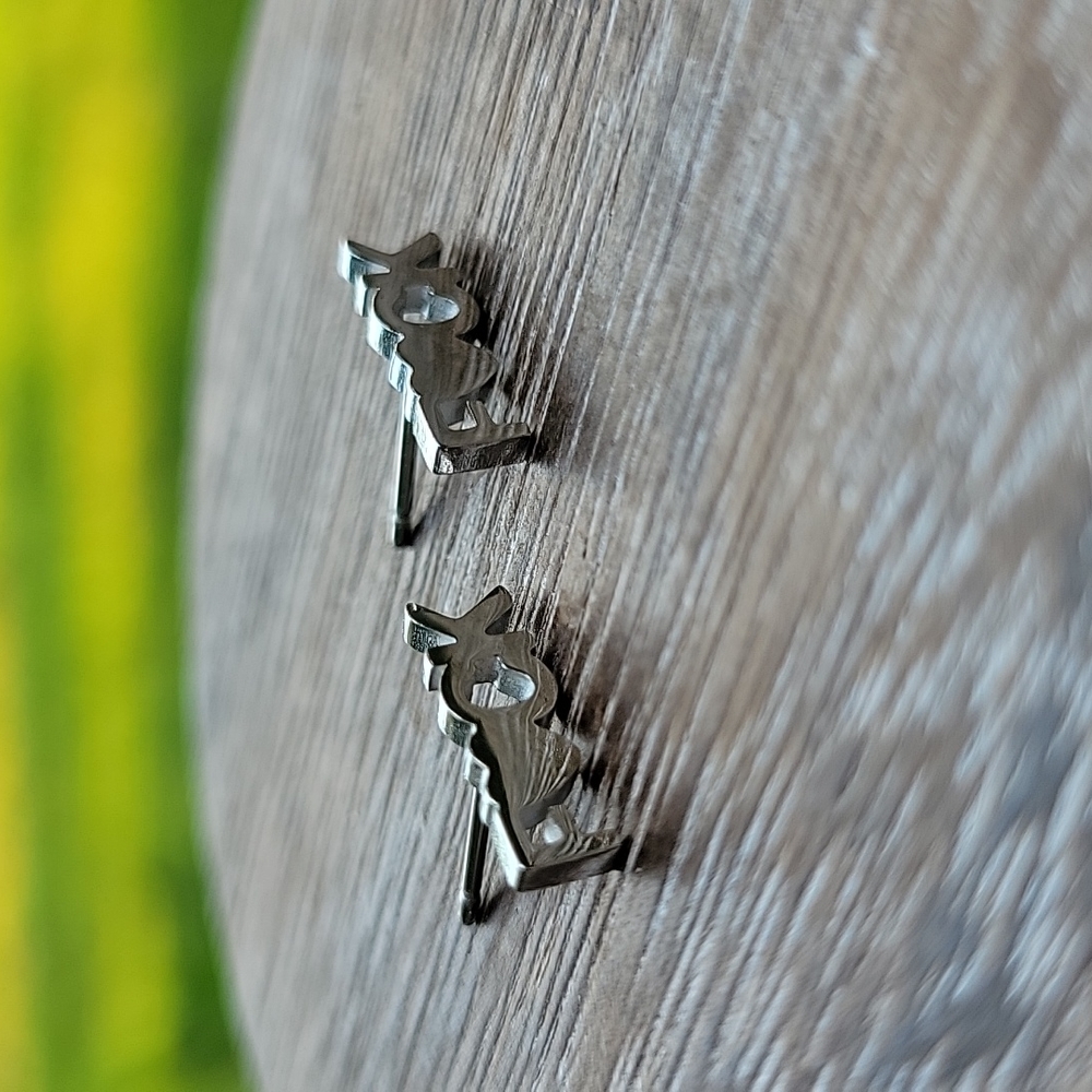 Unapologetic Stud Earrings, titanium, unisex - Picture 5 of 5